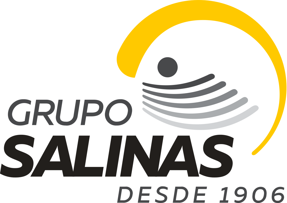 Logotipo_de_Grupo_Salinas.svg